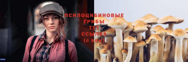 а пвп мука Абдулино