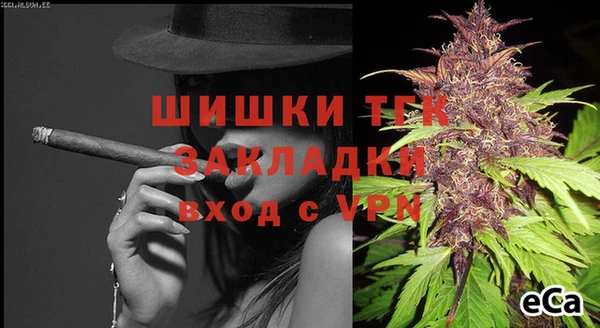 молекула духа Алзамай